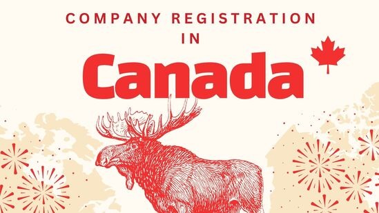 How to Navigate the Business Registration Process in Ontario