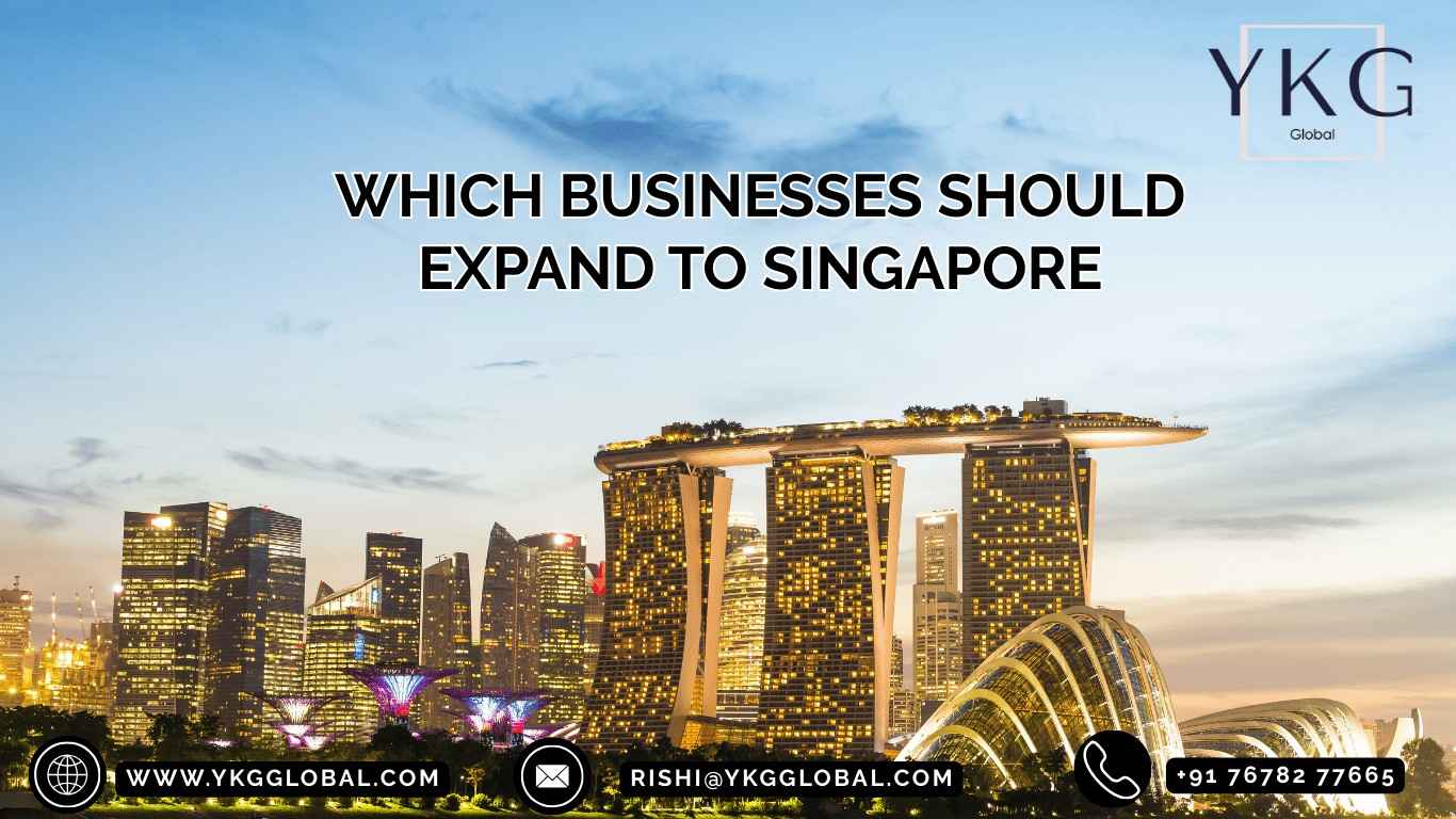 Which Businesses Should Expand to Singapore